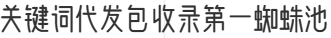 关键词代发包收录第一蜘蛛池
